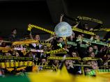 BVB: Umfrage zur Erfolgsgeschichte der Borussia