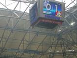 Unser Revier-Finale: Schalke bietet Public Viewing an