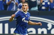 Schalke: Entwarnung! "Papa" wechselt nicht zu den Reds