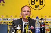 BVB: Neuer Rekordumsatz in Dortmund