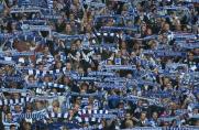 MSV: Rund 20.000 Zuschauer beim Derby gegen BVB II