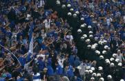 Polizeieinsatz auf Schalke: Fananwälte äußern Kritik