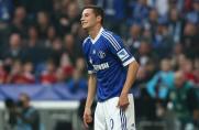 Schalke: Boateng fit für Hoffenheim
