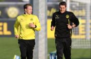 BVB: Kapitän Kehl nimmt Lauftraining auf