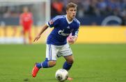 Schalke: Die Angebote für Max Meyer steigen