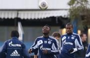 Schalke: Nigerianer greift wieder an