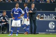 Schalke: Stimmen zum Aus gegen Hoffenheim