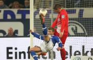 Schalke: Die Einzelkritik gegen den SC Freiburg