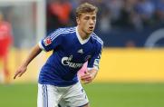 Schalke: Aufsteiger, Absteiger, Zukunft