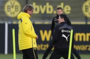 Lewandowski trabt in die Normalität: BVB sucht Ersatz