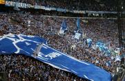 Derby: Schalke entscheidet sich gegen Ausschluss der Gästefans