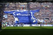 Gewinnspiel: 4x2 Karten für Schalke gegen Mainz