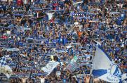 Gewinnspiel: 4x2 Karten für Schalke gegen Hoffenheim