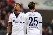 Schalke: Boateng gerät in Erklärungsnot