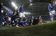 Schalke: Rund 30 Millionen Euro als Trostpflaster