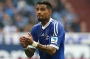 Schalke: Einzelkritik gegen Braunschweig