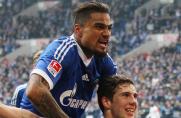 Schalke: Die Königsblauen bleiben auf CL-Kurs