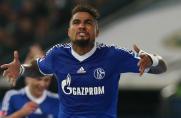 Schalke: Boatengs emotionale Rückkehr