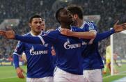 Schalke: Einzelkritik zum Spiel gegen Hertha