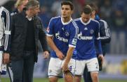 Schalke: Stimmen zum Spiel gegen Hertha