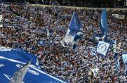 Schalke: S04 richtet Turnier mit Malaga und Newcastle aus