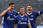 Schalke: Meyer setzt Kurs Richtung Champions League