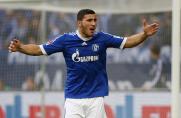 Schalke: Geldstrafe für Kolasinac und Santana