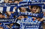 Gewinnspiel: 1x2 VIP-Karten für Schalke - Nürnberg