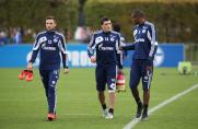 Schalke: Testspiel-Marathon beginnt mit TuS Hordel