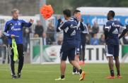 Schalke: Trainingsstart mit 19 Spielern 