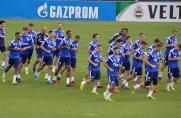 Schalke: Weltmeister Draxler wieder im Training