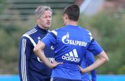 Schalke: 04 Probleme, und wie sie Schalke lösen kann