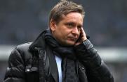 Schalke 04: "Tingel-Tour" durch das "Ländle"?