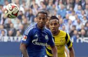 Schalke: Stimmen zum Derbysieg