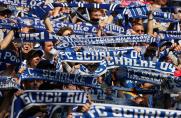 Schalke: Halbjahresbilanz mit solidem Ergebnis