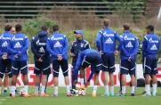 Schalke: Di Matteo will mit kleinen Schritten zum Erfolg