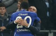 Schalke: Obasi kämpft um neuen Vertrag