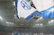 Hooligans vs. Salafisten: Bundesligisten verbieten "HoGeSa"