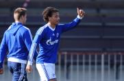 Youth League: Schalke jubelt in Lissabon