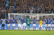 Schalke: Profis zahlen den Fans die Maribor-Karten