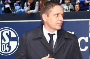 Schalke: Achtelfinal-Chancen minimal - Heldt: Blamabel
