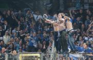 Schalker Bonusprogramm: FanMeilen sammeln