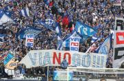 Schalke: Viagogo-Streit endgültig zu den Akten gelegt