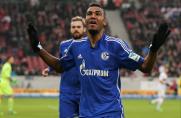 Schalke: "Choupo" freut sich mit "Hunter" und umgekehrt