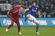 Schalker Einzelkritik gegen Hamburg
