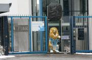 1860 München - Aalen: Löwen bleiben zu Hause zahnlos