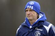 FC Schalke 04, Norbert Elgert