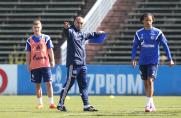 Max Meyer, Roberto Di Matteo, Leroy Sané, Training FC Schalke 04.