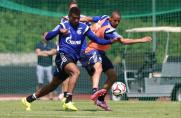 FC Schalke 04, Kevin-Prince Boateng, Sidney Sam, S04