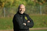 Trainer, Frank Benatelli, CSV Bochum-Linden, Saison 2013/2014, Trainer, Frank Benatelli, CSV Bochum-Linden, Saison 2013/2014